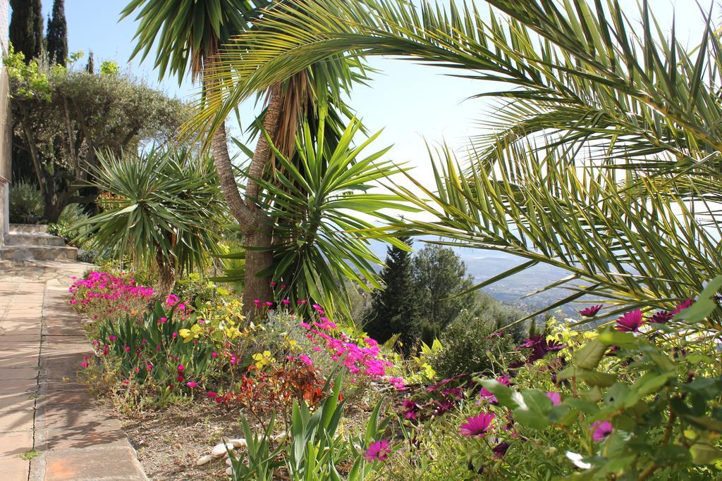 El Nispero Dulce Bed & Breakfast Alcaucin Exterior photo